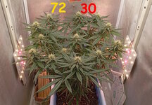 72-30 сут (1).jpg