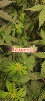 IMG_20260616_014318.jpg