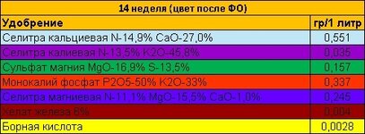 14 неделя ПФО.jpg