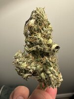 IMG_2521.jpeg