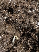 IMG_20260818_172827.jpg