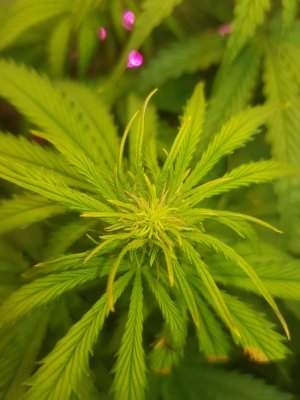 20221026_183311.jpg