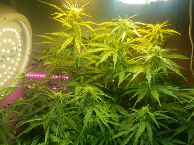 20221103_181850.jpg