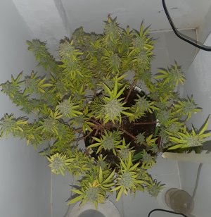 20221105_125209.jpg