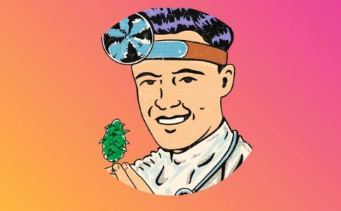 Кто такие бридеры? Кто такие бридеры?