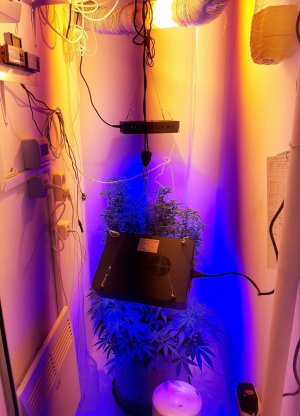 20221206_122253.jpg