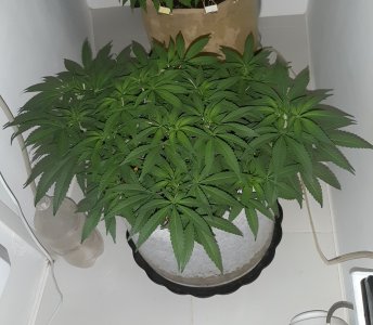 20221225_115434.jpg