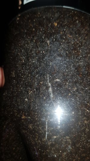 20230119_151730.jpg