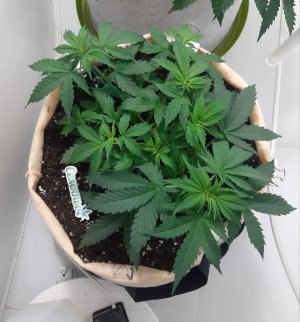 20230503_180507.jpg