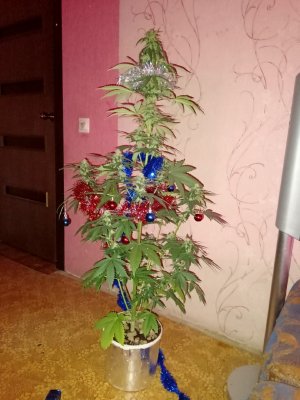mhAaRKebtDxoUej9_DdhP9NfbG_6YPK03R6kQNlvzh1kGdMuSyO7MM5kq6nccF4kynJ3NrgecxHYuiq09WbDJIVt.jpg