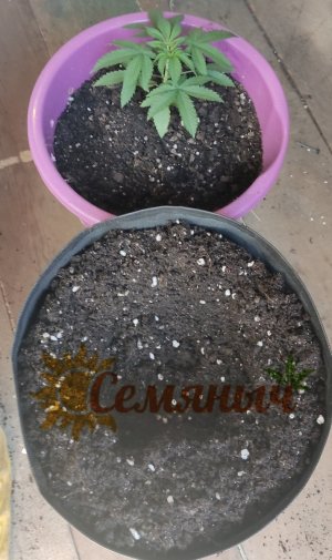 Picsart_23-07-16_18-31-02-865.jpg