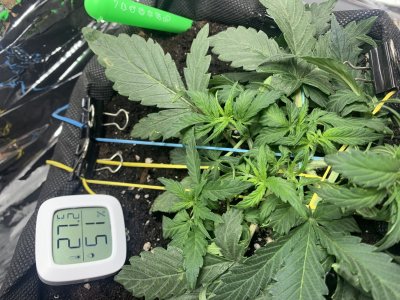 imgonline-com-ua-dexifffUcifMXryyE.jpg