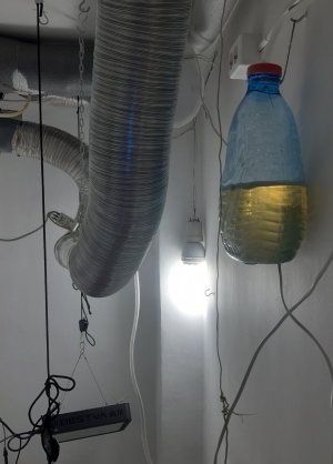 20231008_081350.jpg