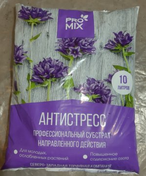 20231008_110747.jpg