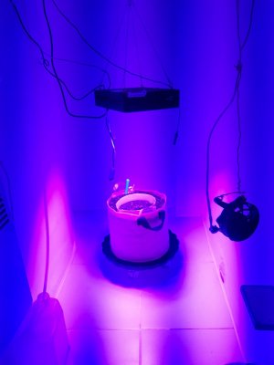 20231014_190629.jpg