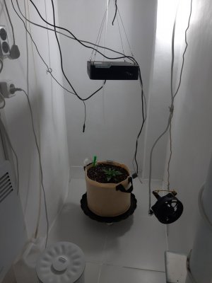 20231015_090503.jpg