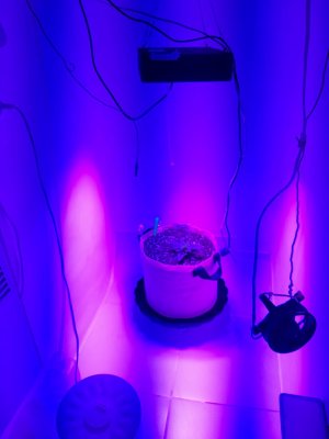 20231015_090013.jpg