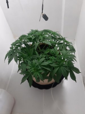 20231019_195110.jpg