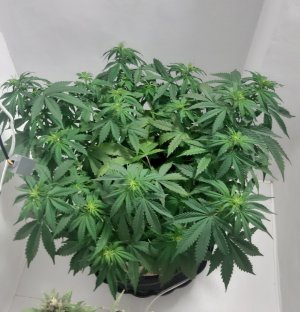 20231021_155310.jpg