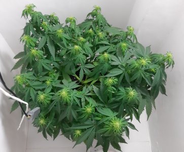 20231021_202729.jpg