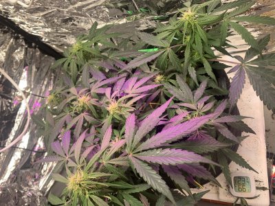 imgonline-com-ua-dexifQrXkBNTsRs3l.jpg