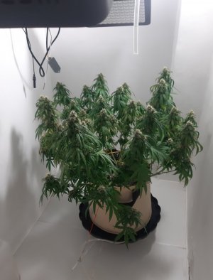 20231025_220610.jpg