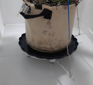 20231027_221051.jpg
