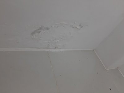 20231104_120637.jpg