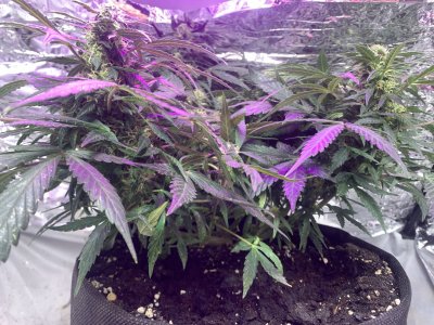 imgonline-com-ua-dexifBpwj5LN5yMTE.jpg