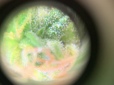 imgonline-com-ua-dexifr6rfkXa4nTld.jpg