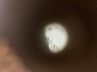 imgonline-com-ua-dexifop5ewf817tcS.jpg