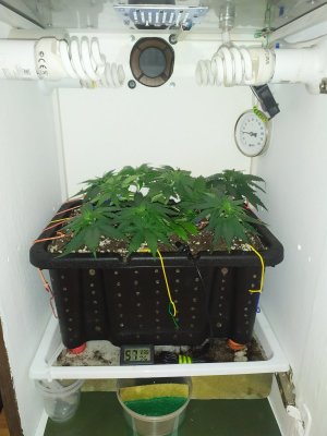 IMG_20240318_200845.jpg