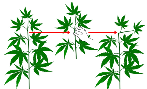 2.png 2.png