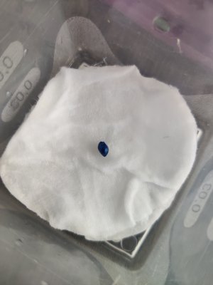 1000022182.jpg