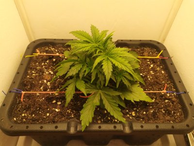 IMG_20240818_160451.jpg